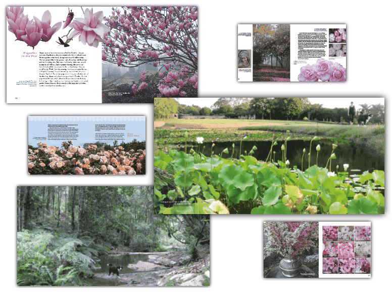 Image excerpts from Two Dogs & A Garden